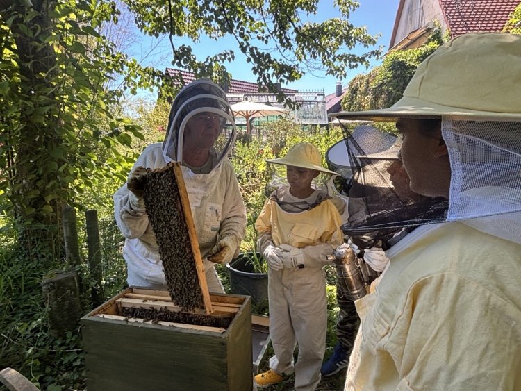 bienenII
