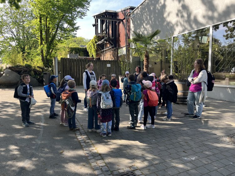 zooIII
