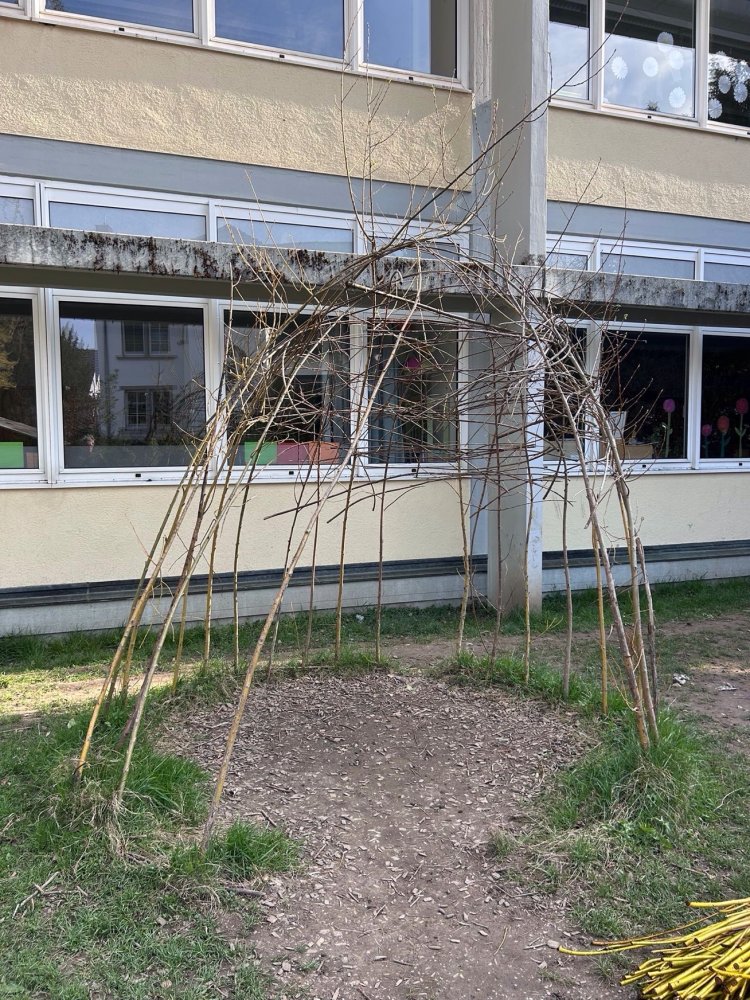 WeidenhäuIII