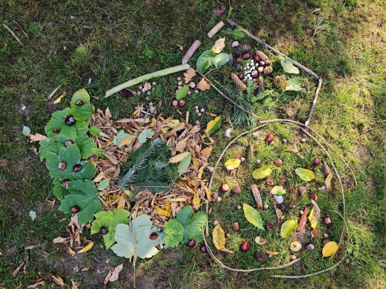 landartV