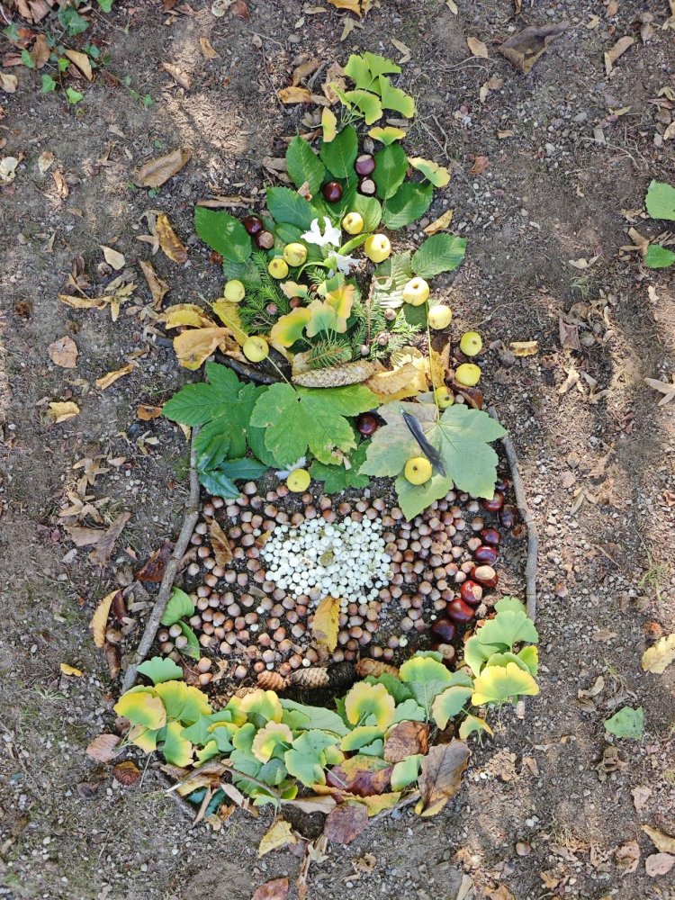 landartII