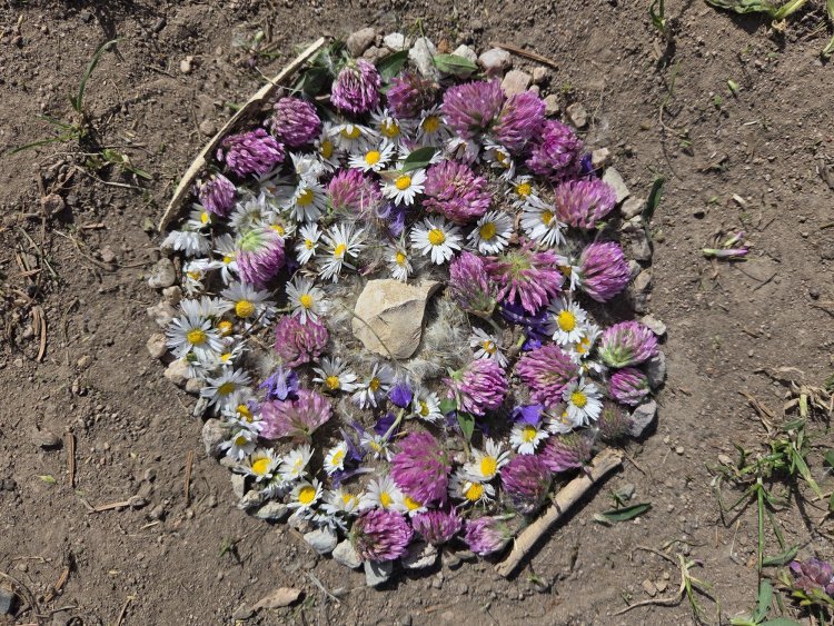 blumenI