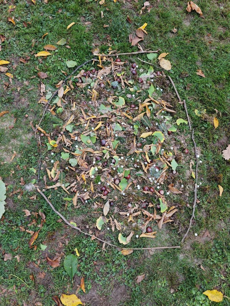 landartVI