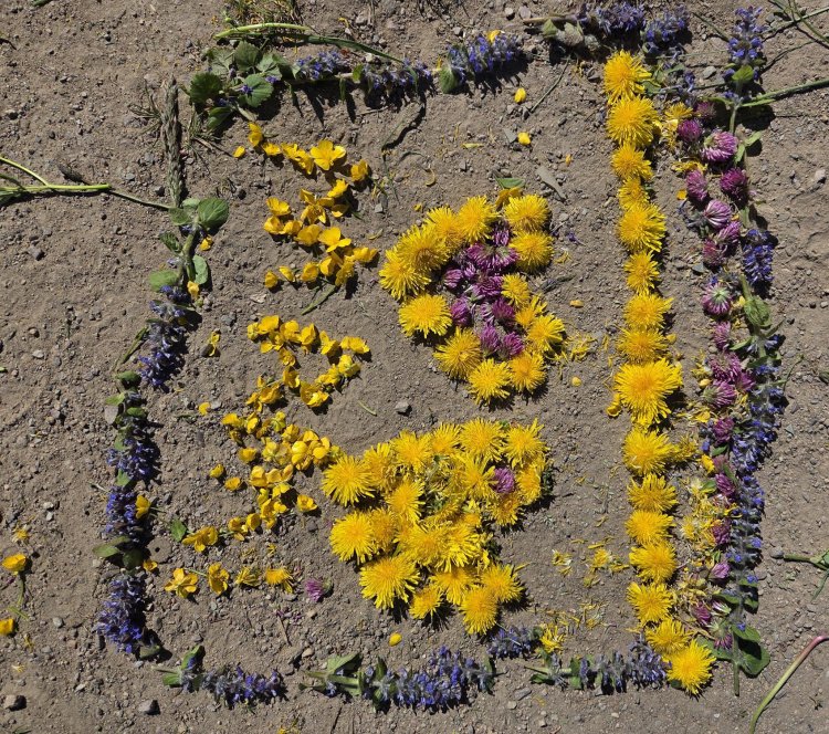blumenIV