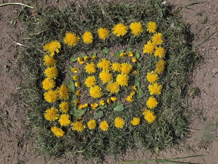 blumenIII